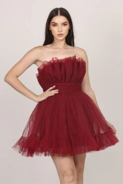 Caspian Tulle Mini Dress In Astro Red -Lace & Beads Shop 005A0177resized