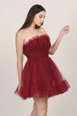 Caspian Tulle Mini Dress In Astro Red -Lace & Beads Shop 005A0186edited