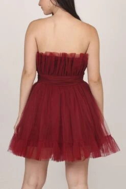 Caspian Tulle Mini Dress In Astro Red -Lace & Beads Shop 005A0191edited