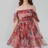Sydney Mixed Floral Tulle Mini Dress -Lace & Beads Shop 3 1 2resized
