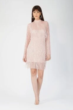 Elena Embellished Pink Tassel Mini Dress -Lace & Beads Shop AliyaElena 1