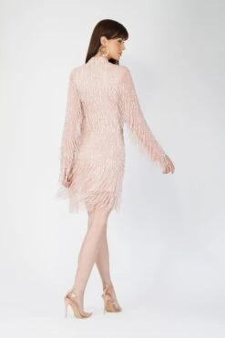 Elena Embellished Pink Tassel Mini Dress -Lace & Beads Shop AliyaElena 5