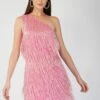 Amarato Embellished Pink Fringe Mini Dress 2 Amarato Embellished Pink Fringe Mini Dress -Lace & Beads Shop Amarato 5