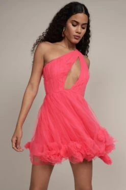 Aurelia Pink Pom Pom Mini Dress -Lace & Beads Shop Aurelia Pink Pom Pom Mini Dress 7