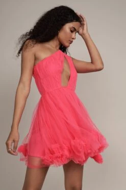 Aurelia Pink Pom Pom Mini Dress -Lace & Beads Shop Aurelia Pink Pom Pom Mini Dress 8