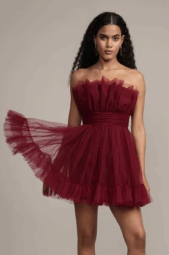 Caspian Tulle Mini Dress In Astro Red