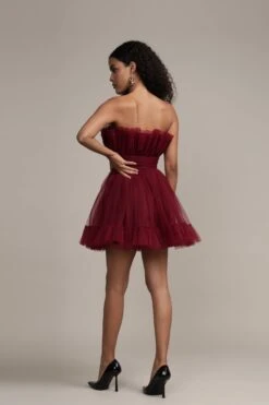 Caspian Tulle Mini Dress In Astro Red -Lace & Beads Shop Caspian Mini in Astro Red 4
