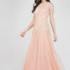 Lilith Floral Embellished Maxi Dress In Blush Pink -Lace & Beads Shop FairyTaleDresses 21 edited