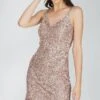 Greyson Mink Sequin Mini Dress -Lace & Beads Shop Greyson 15