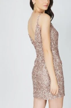 Greyson Mink Sequin Mini Dress -Lace & Beads Shop Greyson 1 5eecc9dd fd01 404c 82e3 227233b89a98