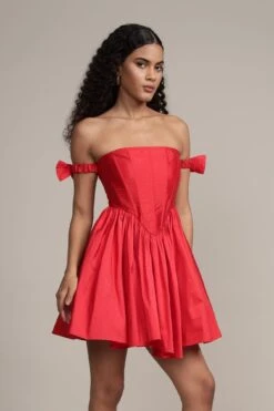 Carly Corset Mini Dress In Red