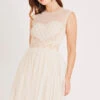 Cecilia Pearl Embellished Skater Dress -Lace & Beads Shop LACE BEADS 2218