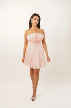 Nanita Tulle Mini Dress In Blush Pink -Lace & Beads Shop L B1438 Copy