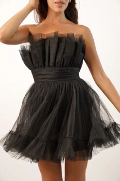 Nanita Tulle Mini Dress In Black -Lace & Beads Shop L B1784