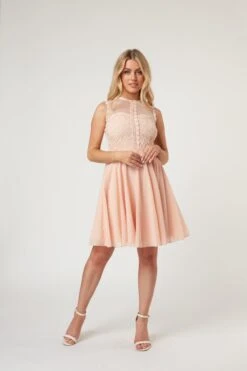 Carlie Blush Tulle And Lace Skater Dress 18 Carlie Blush Tulle And Lace Skater Dress -Lace & Beads Shop LaceandBeads1473