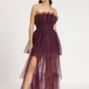 Natalia Tulle Maxi Dress In Plum