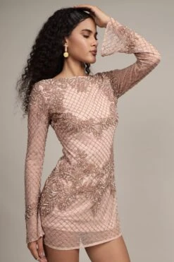 Nela Embellished Mini Dress In Mink 19 Nela Embellished Mini Dress In Mink -Lace & Beads Shop NelaMiniin 9