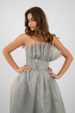 Noah Organza Midi Dress In Grey