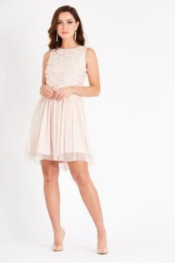 Hazel Blush Embellished Skater In Nude -Lace & Beads Shop PicassoSKaterNude 1