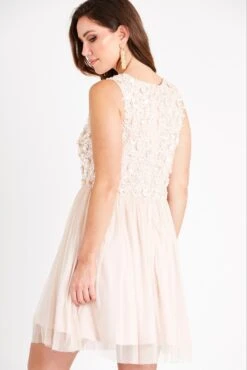 Hazel Blush Embellished Skater In Nude -Lace & Beads Shop PicassoSKaterNude 2