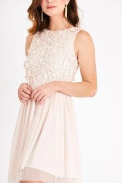 Hazel Blush Embellished Skater In Nude -Lace & Beads Shop PicassoSKaterNude 5