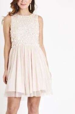 Hazel Blush Embellished Skater In Nude