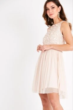 Hazel Blush Embellished Skater In Nude -Lace & Beads Shop PicassoSKaterNude 8