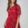 Rowena Red Pink Printed One Shoulder Maxi Dress 2 Rowena Red Pink Printed One Shoulder Maxi Dress -Lace & Beads Shop RowenorRowena 2 bf532362 9fdc 4501 ab43 56a67f83b7e2