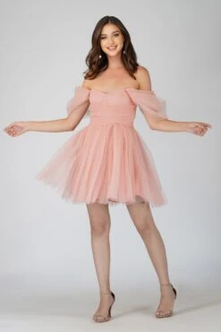 Sydney Light Pink Tulle Mini Dress 12 Sydney Light Pink Tulle Mini Dress -Lace & Beads Shop sYDNEYMINI 2 Copy