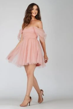 Sydney Light Pink Tulle Mini Dress 11 Sydney Light Pink Tulle Mini Dress -Lace & Beads Shop sYDNEYMINI 4 Copy